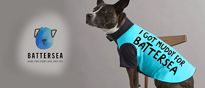 這可能是世界上品牌設計公司最最最萌的logo